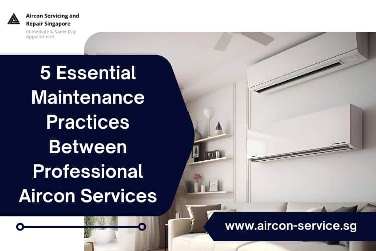 5 Essential Maintenance Practices Between Professional Aircon Services