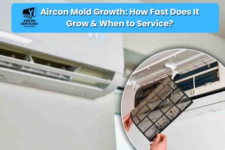 Aircon Mold Growth