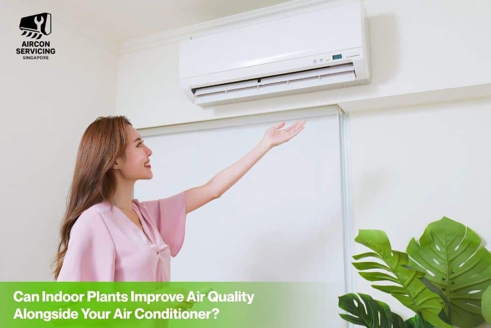 Indoor plants improving air quality alongside an air conditioner